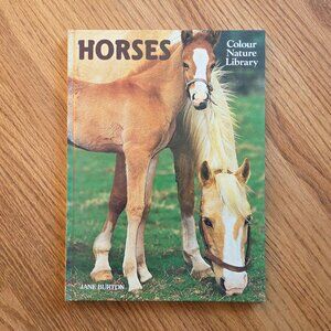 Horses Vintage Children's Book by Jane Burton